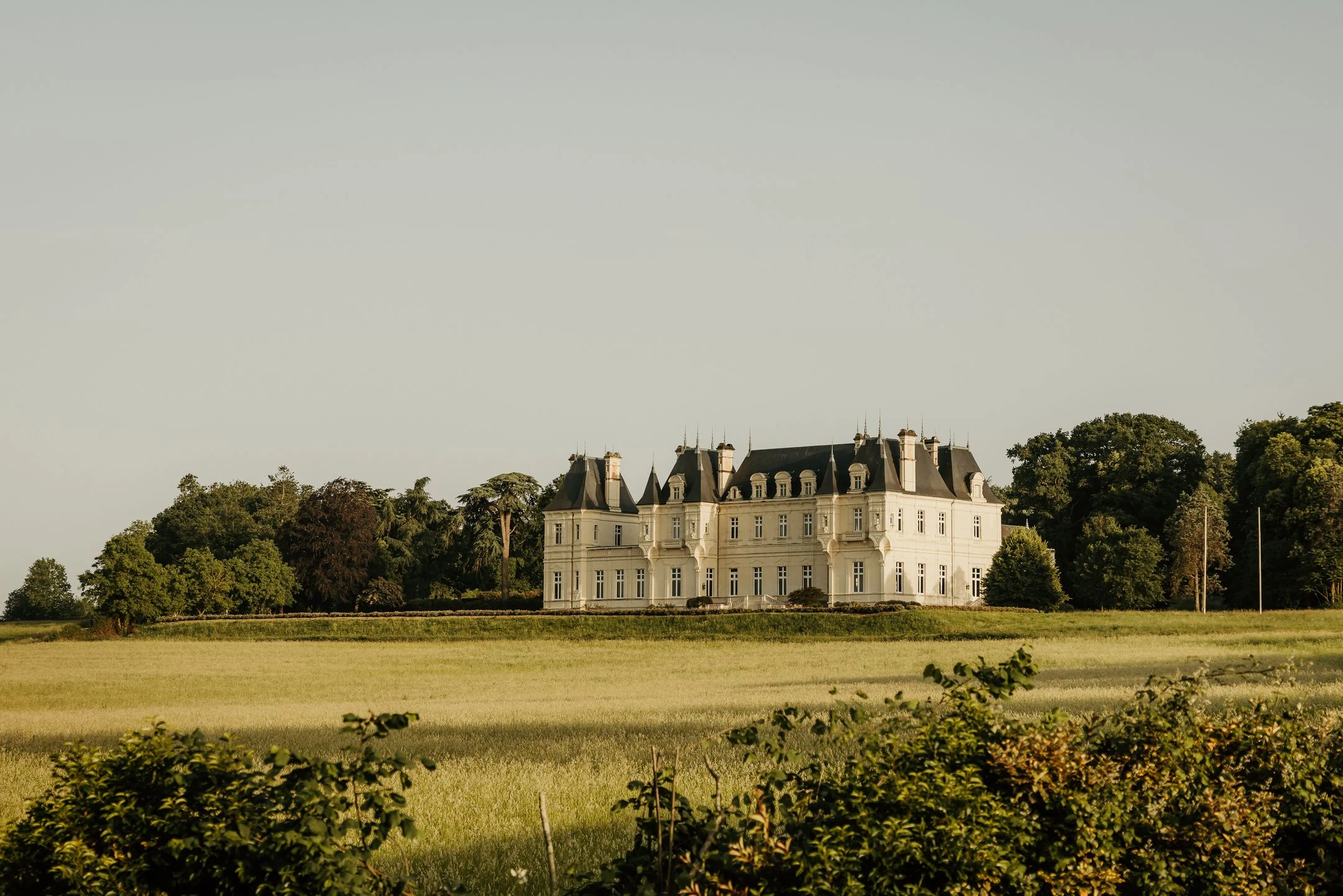 Vue sur la campagne de l'Anjou Bleu — Le Moulin de Micheline